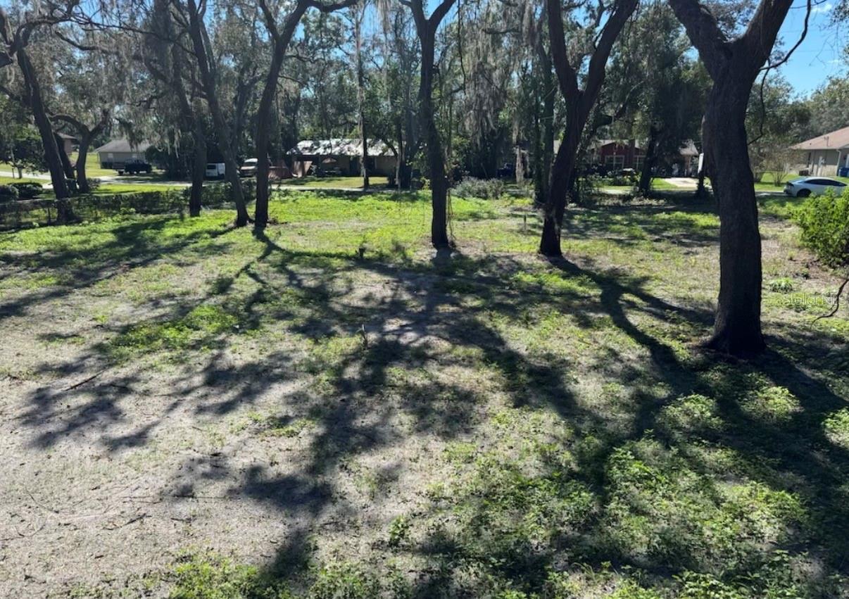 Image 2 of 8 For 34779 Hibiscus Drive