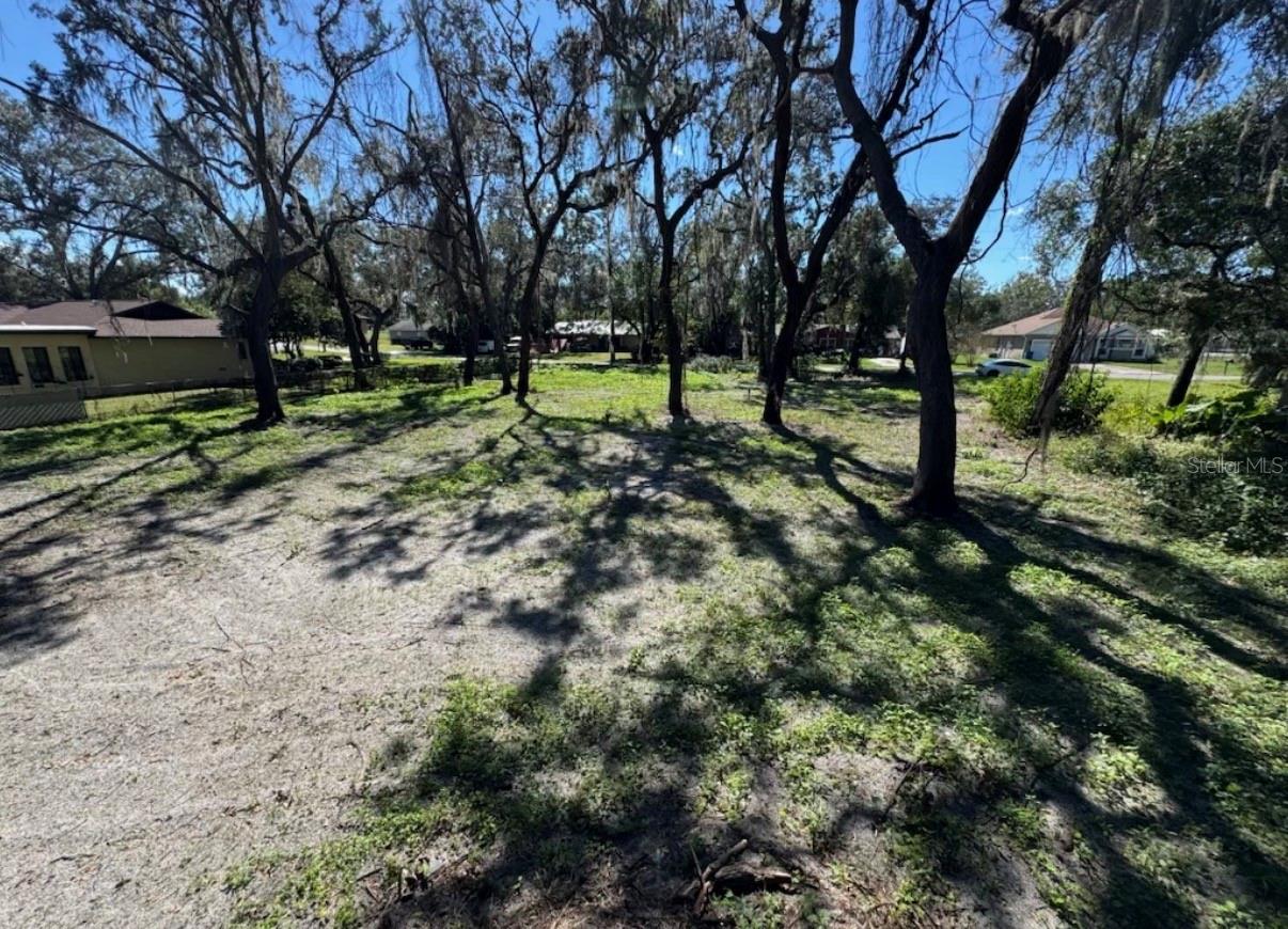 Image 3 of 8 For 34779 Hibiscus Drive