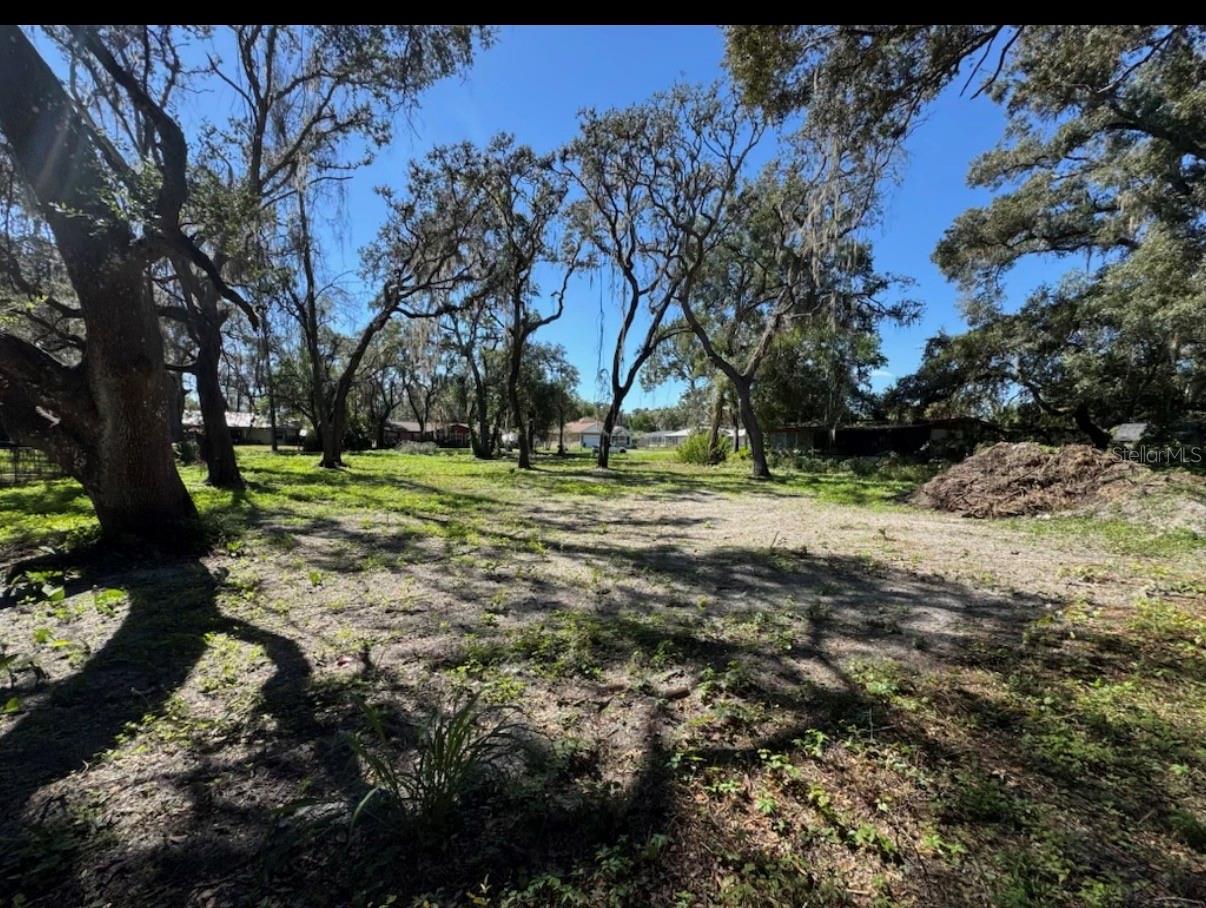 Image 4 of 8 For 34779 Hibiscus Drive