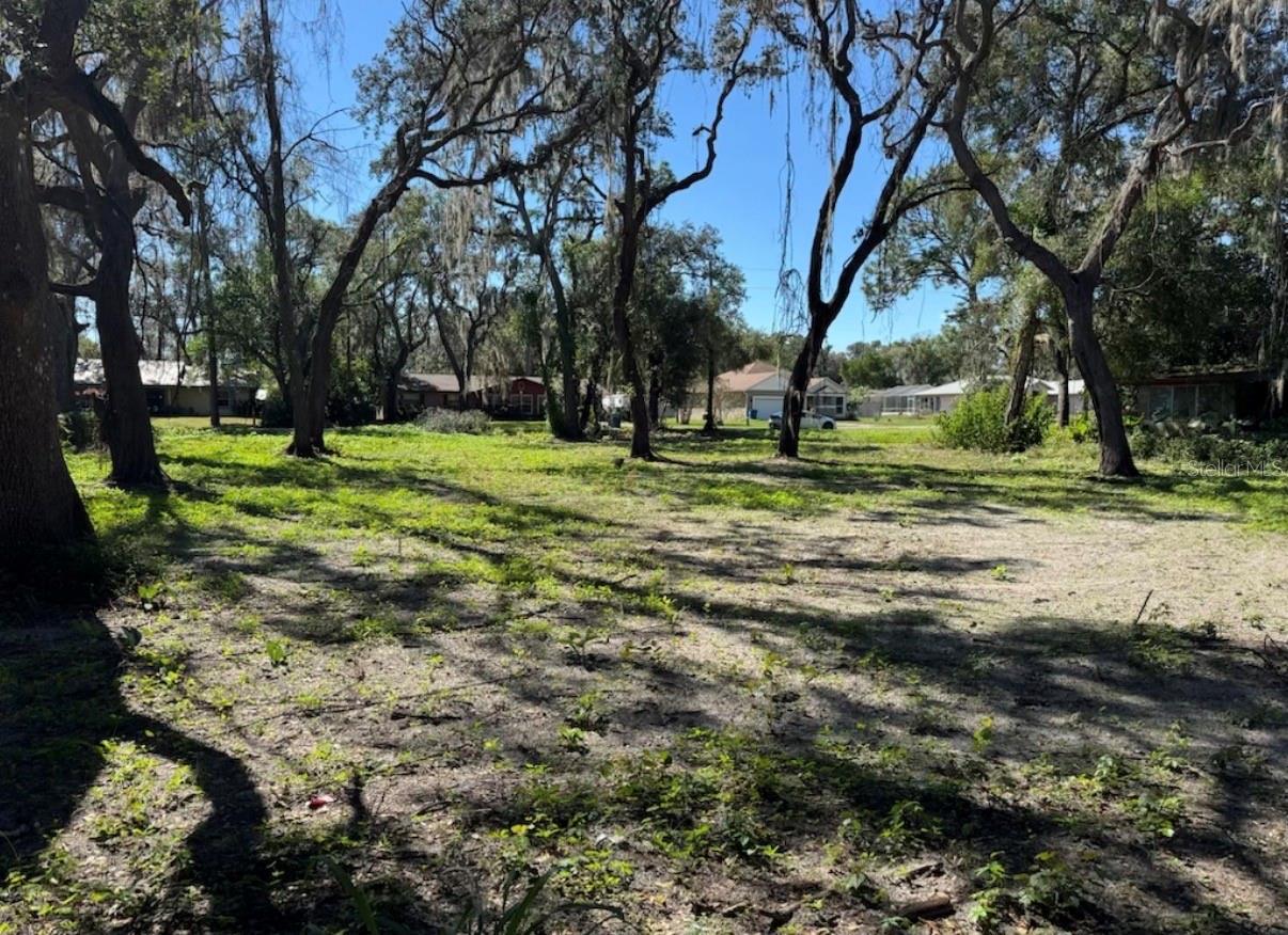 Image 5 of 8 For 34779 Hibiscus Drive