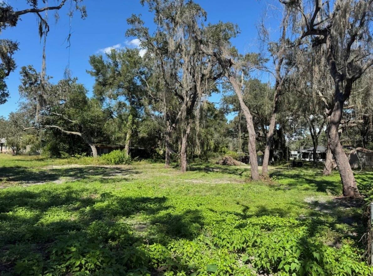 Image 6 of 8 For 34779 Hibiscus Drive