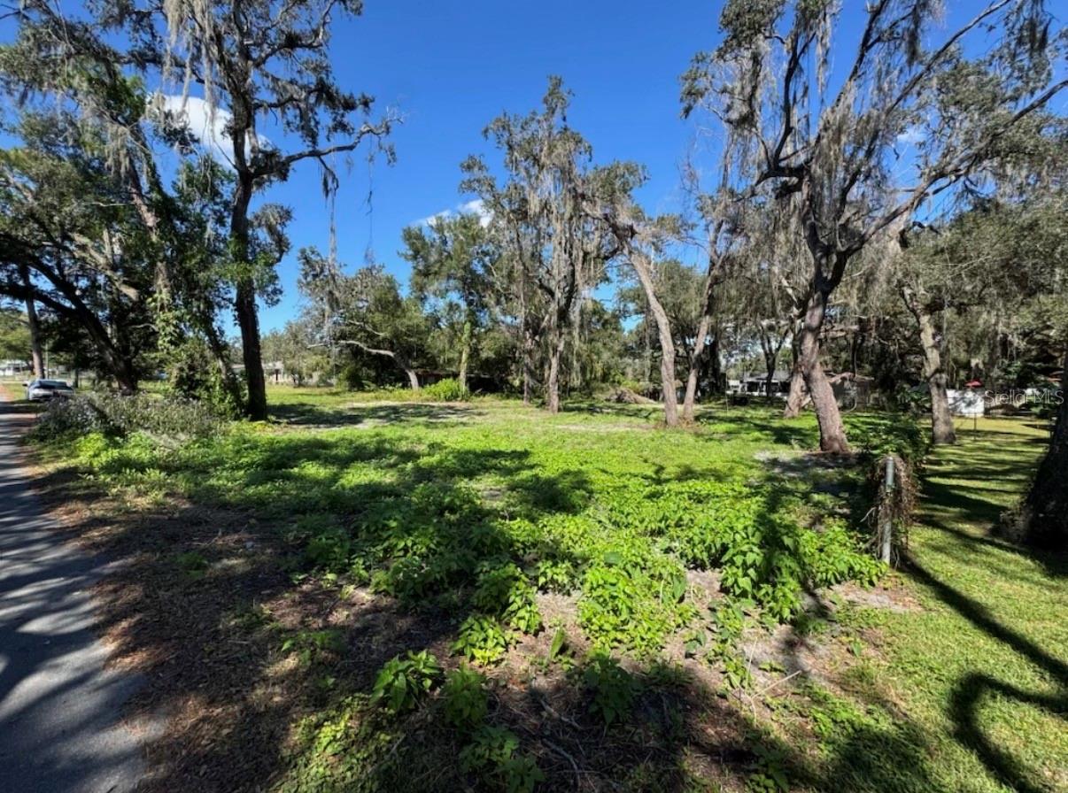 Image 7 of 8 For 34779 Hibiscus Drive