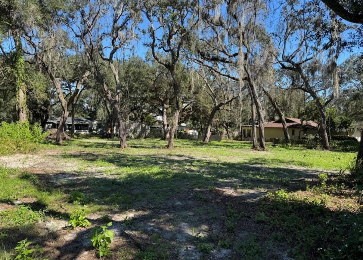 Image 8 of 8 For 34779 Hibiscus Drive