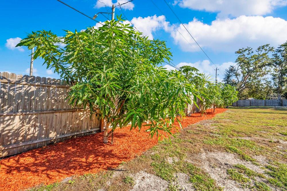 Image 29 of 34 For 3808 Country Loop