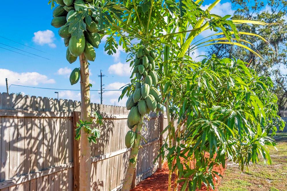 Image 30 of 34 For 3808 Country Loop