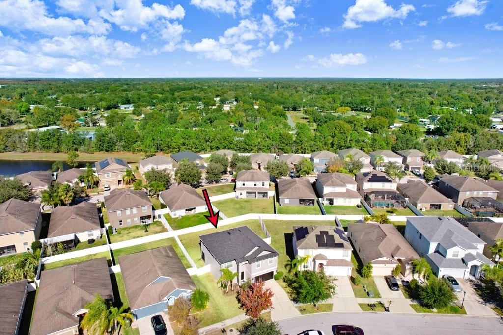 Listing photo id 36 for 13117 Royal Pines Avenue