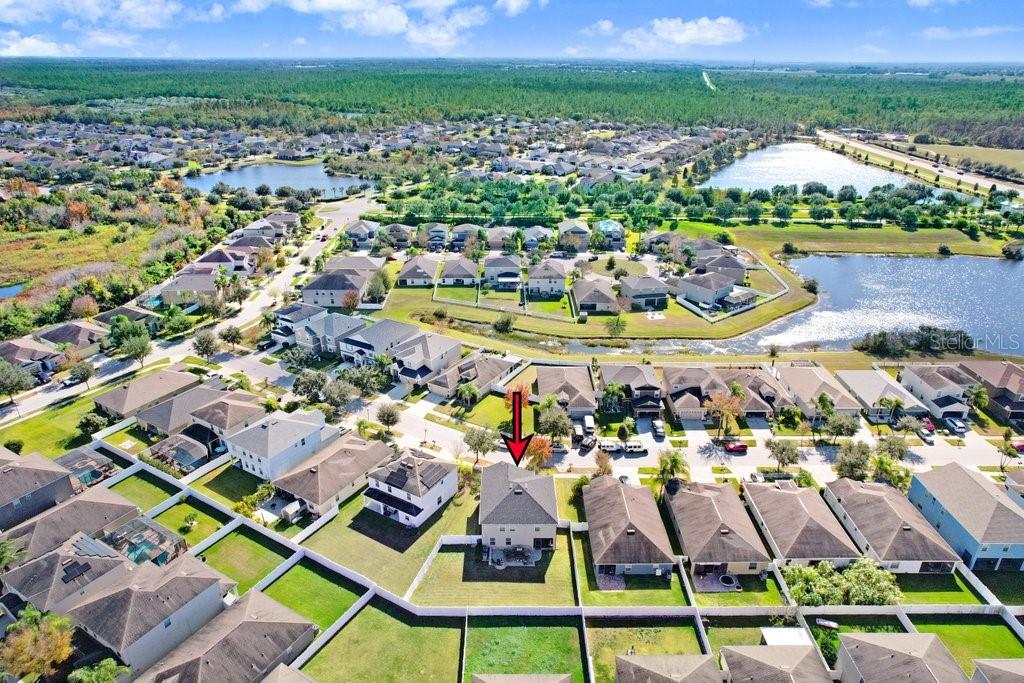 Listing photo id 37 for 13117 Royal Pines Avenue