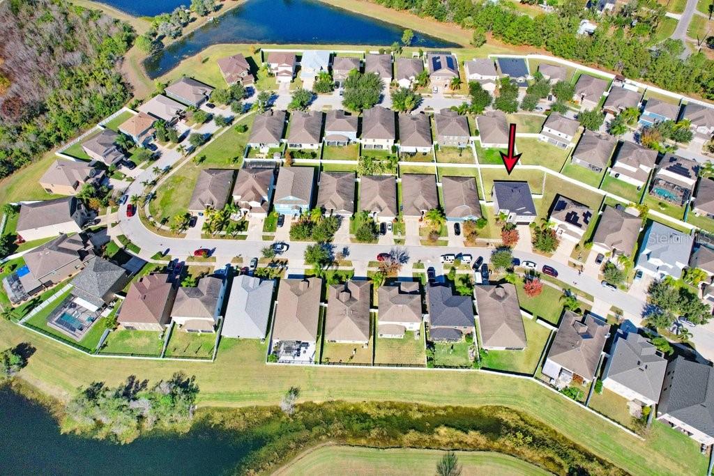 Listing photo id 41 for 13117 Royal Pines Avenue