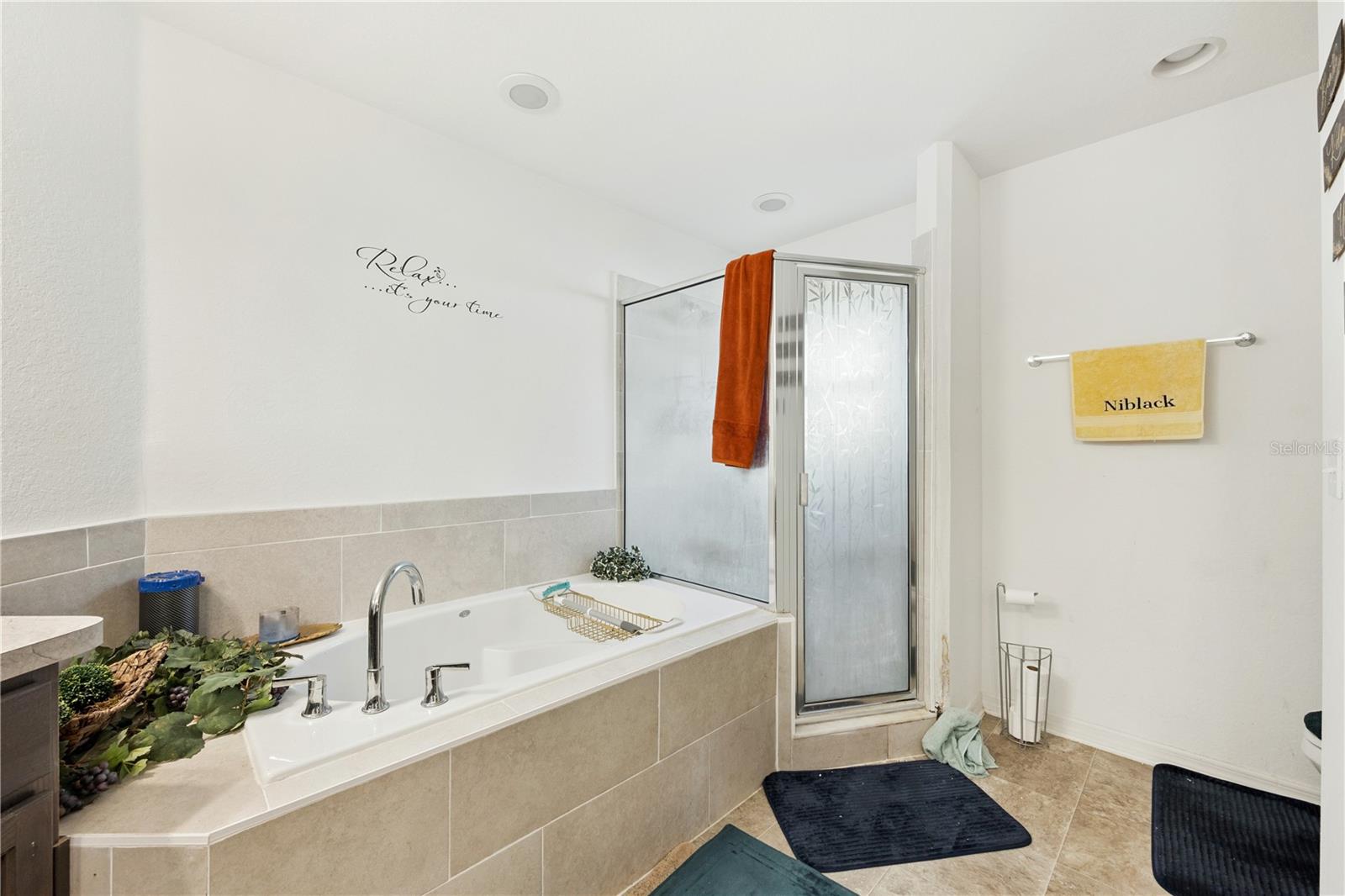 Image 9 of 14 For 111 Black Skimmer Lane