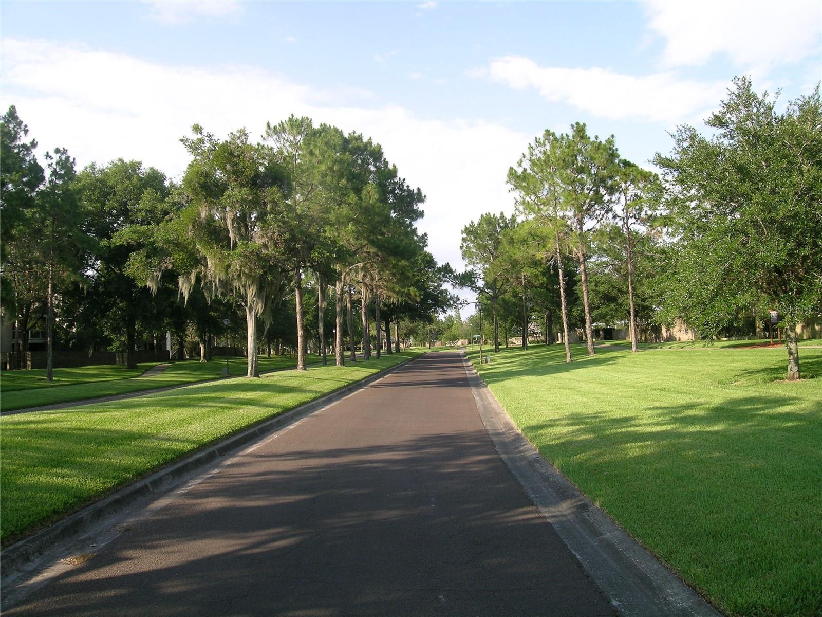 Image 51 of 53 For 828 Whitestone Court