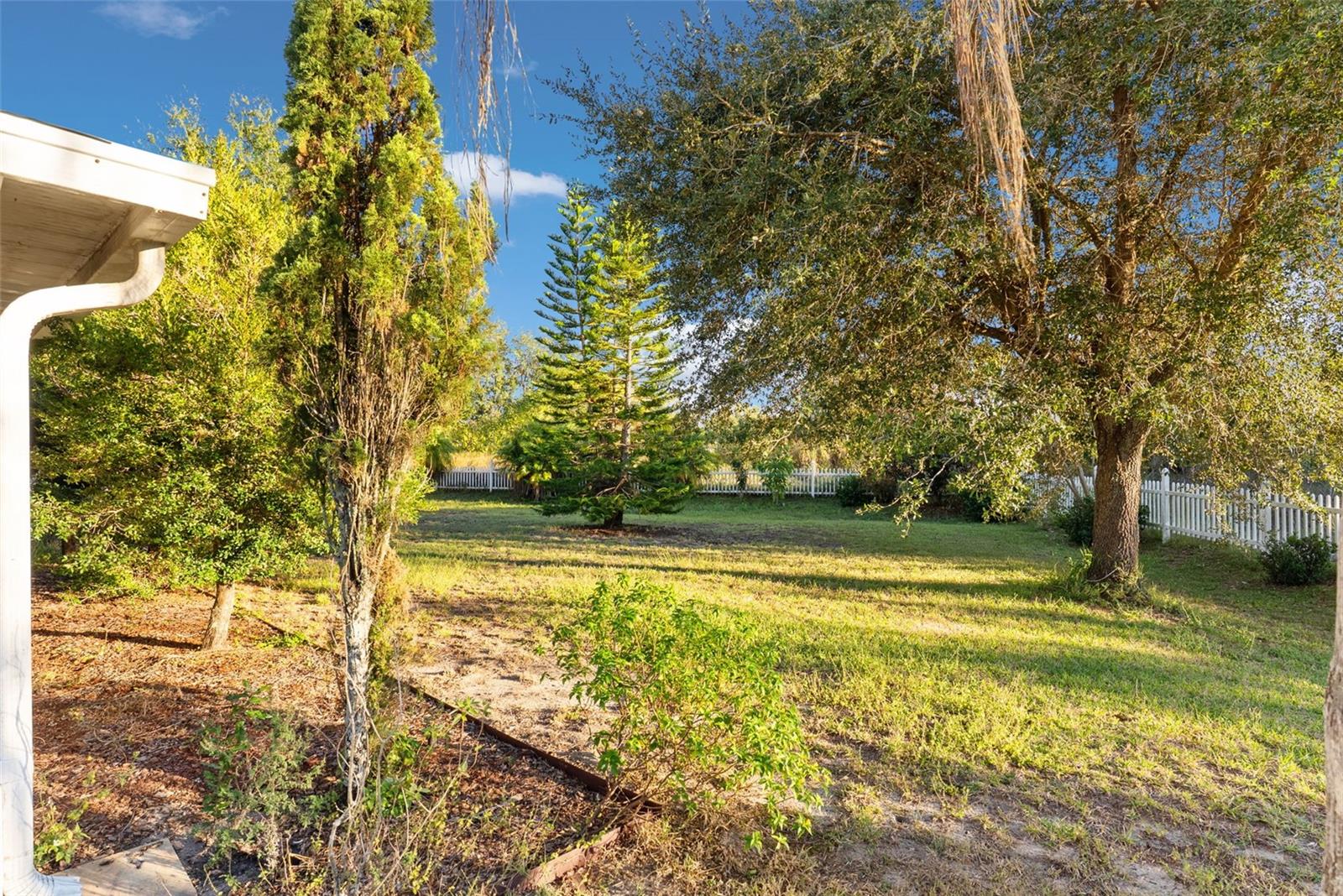 Image 34 of 52 For 1009 Ronlin Street