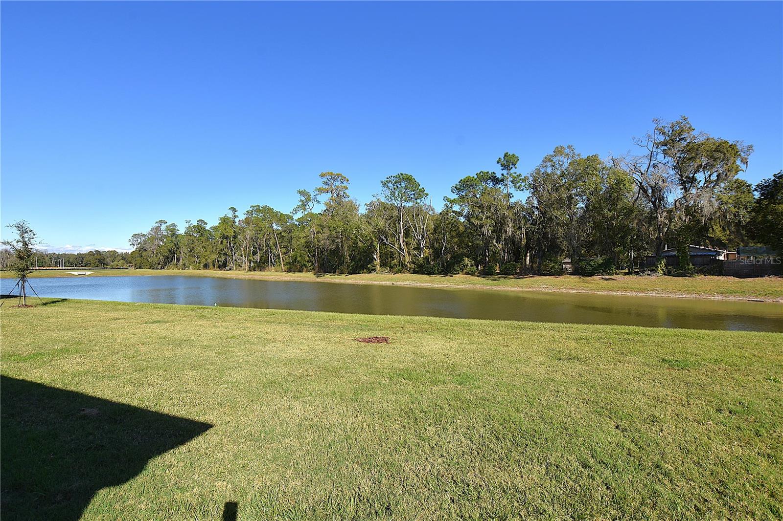 Image 8 of 43 For 8383 Madrid Street