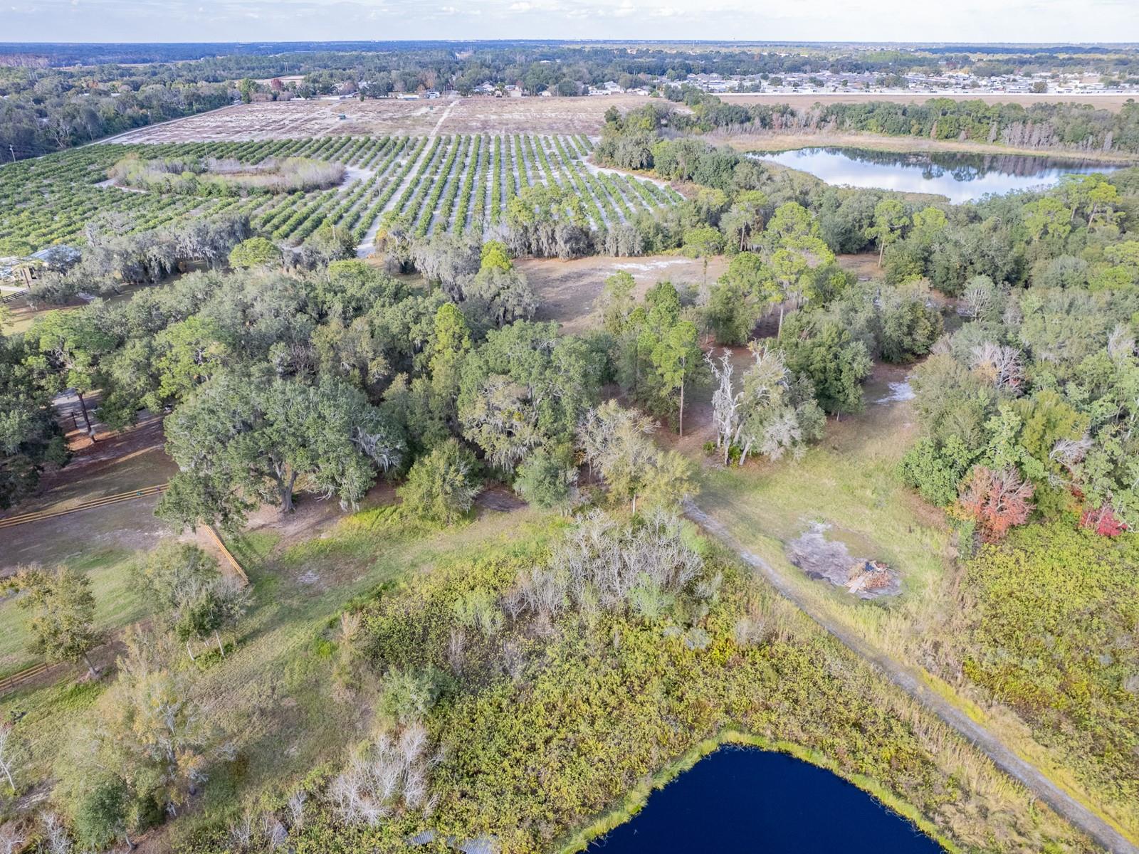 Image 64 of 66 For 4305 Old Bartow Eagle Lake Road