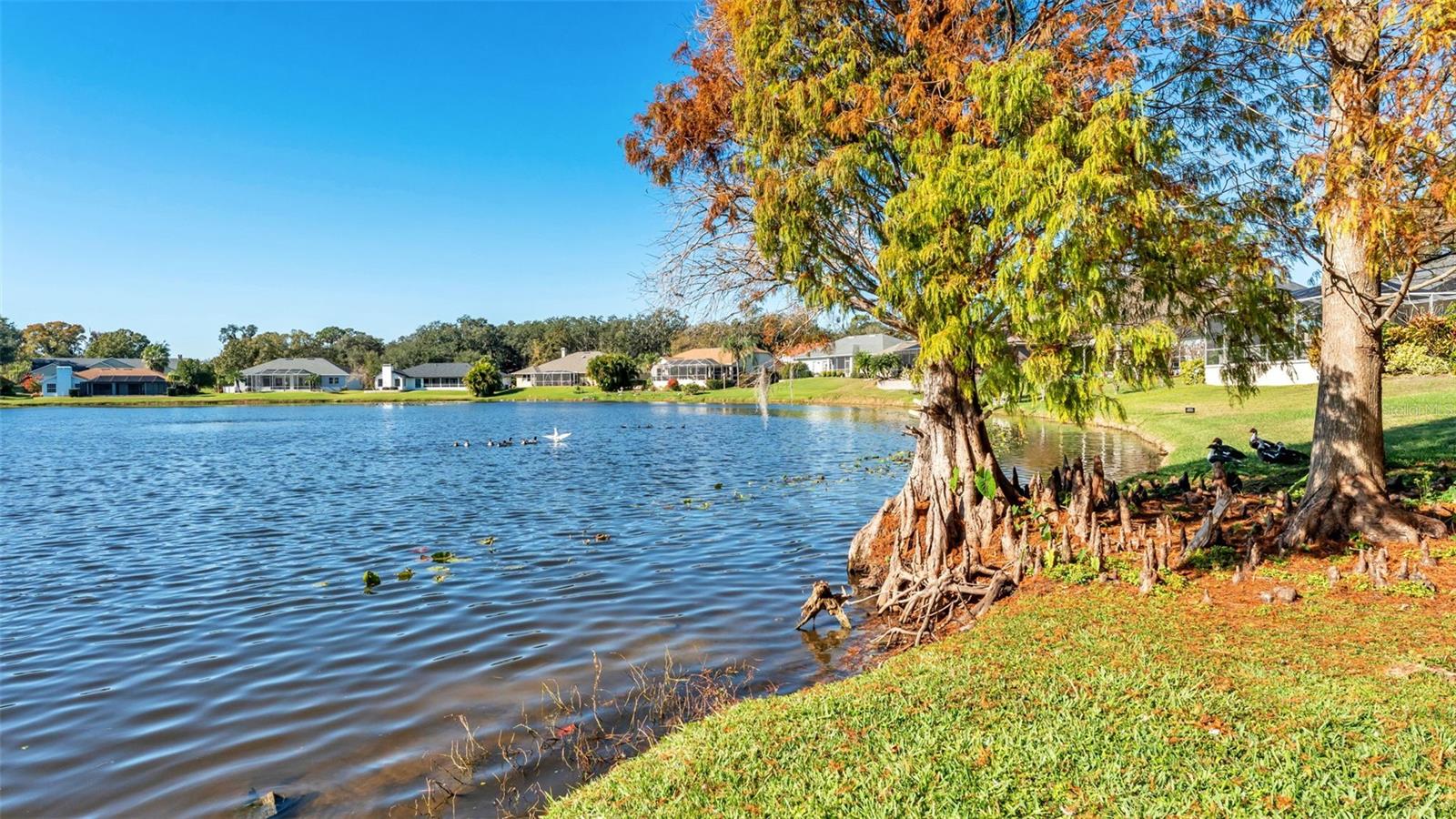 Image 38 of 45 For 6760 Englelake Drive