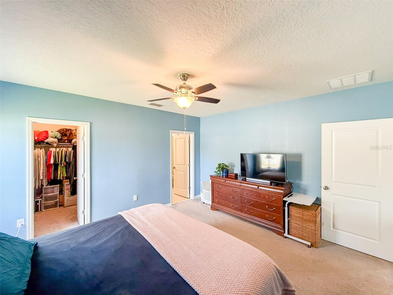 Image 36 of 79 For 141 Hamlet Loop