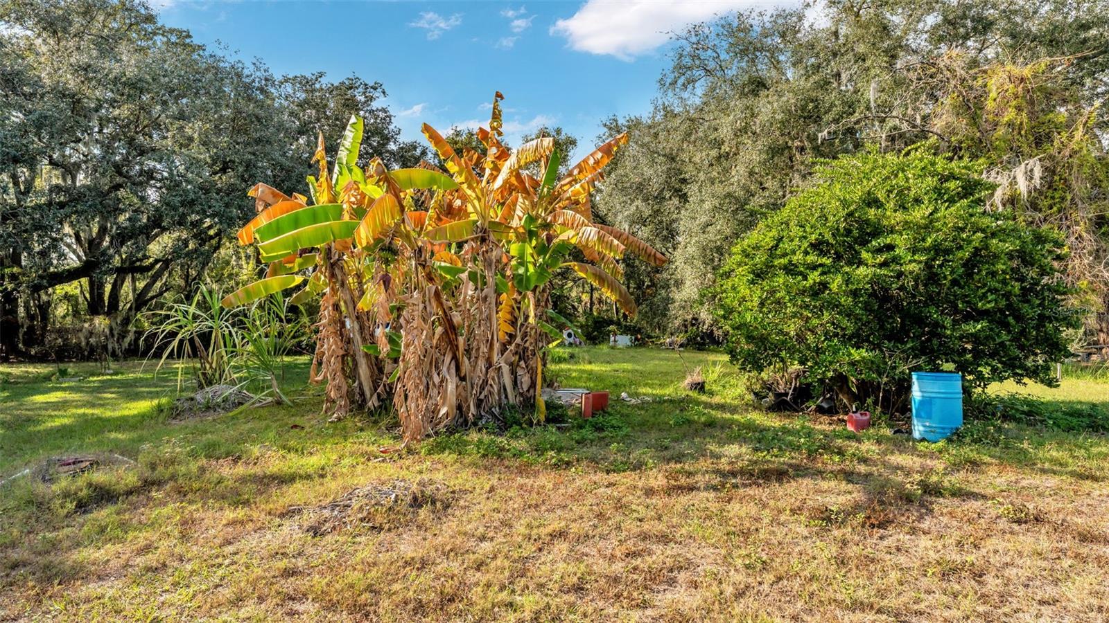 Image 5 of 13 For 23 Violet Street