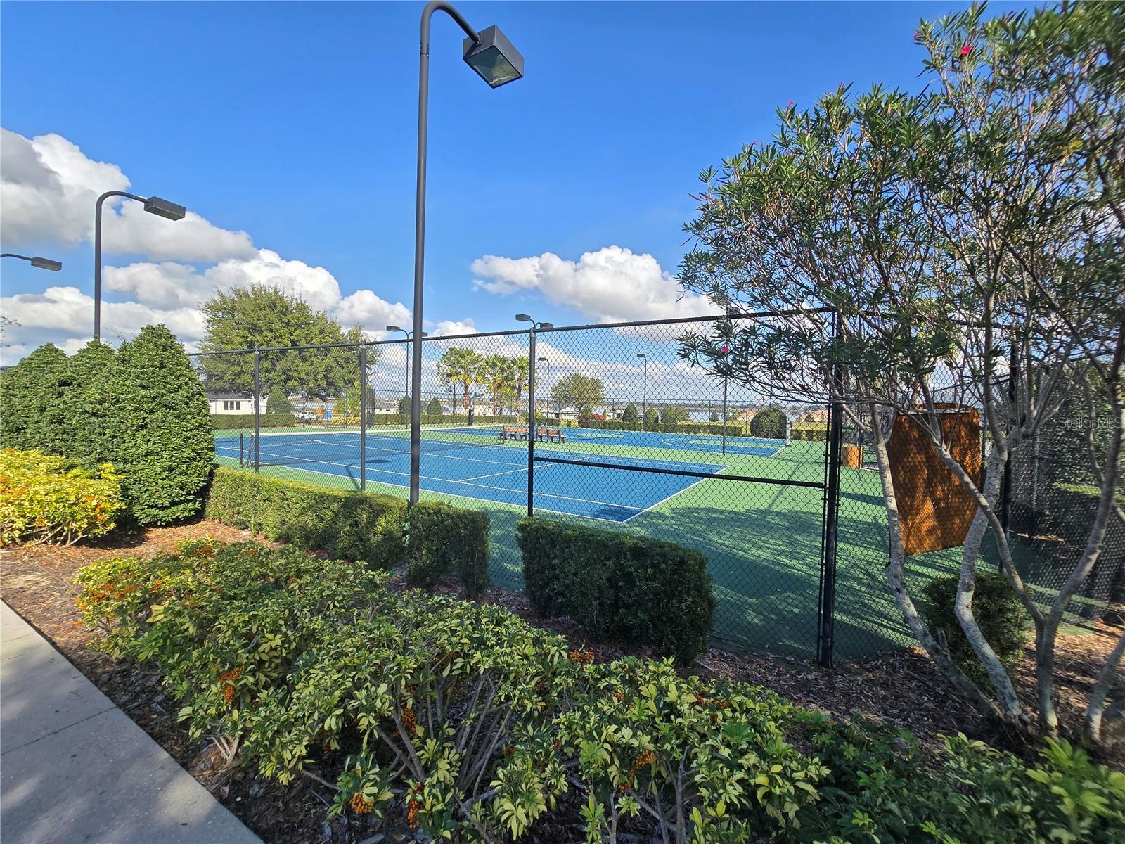 Image 15 of 24 For 103 Blazing Star Avenue