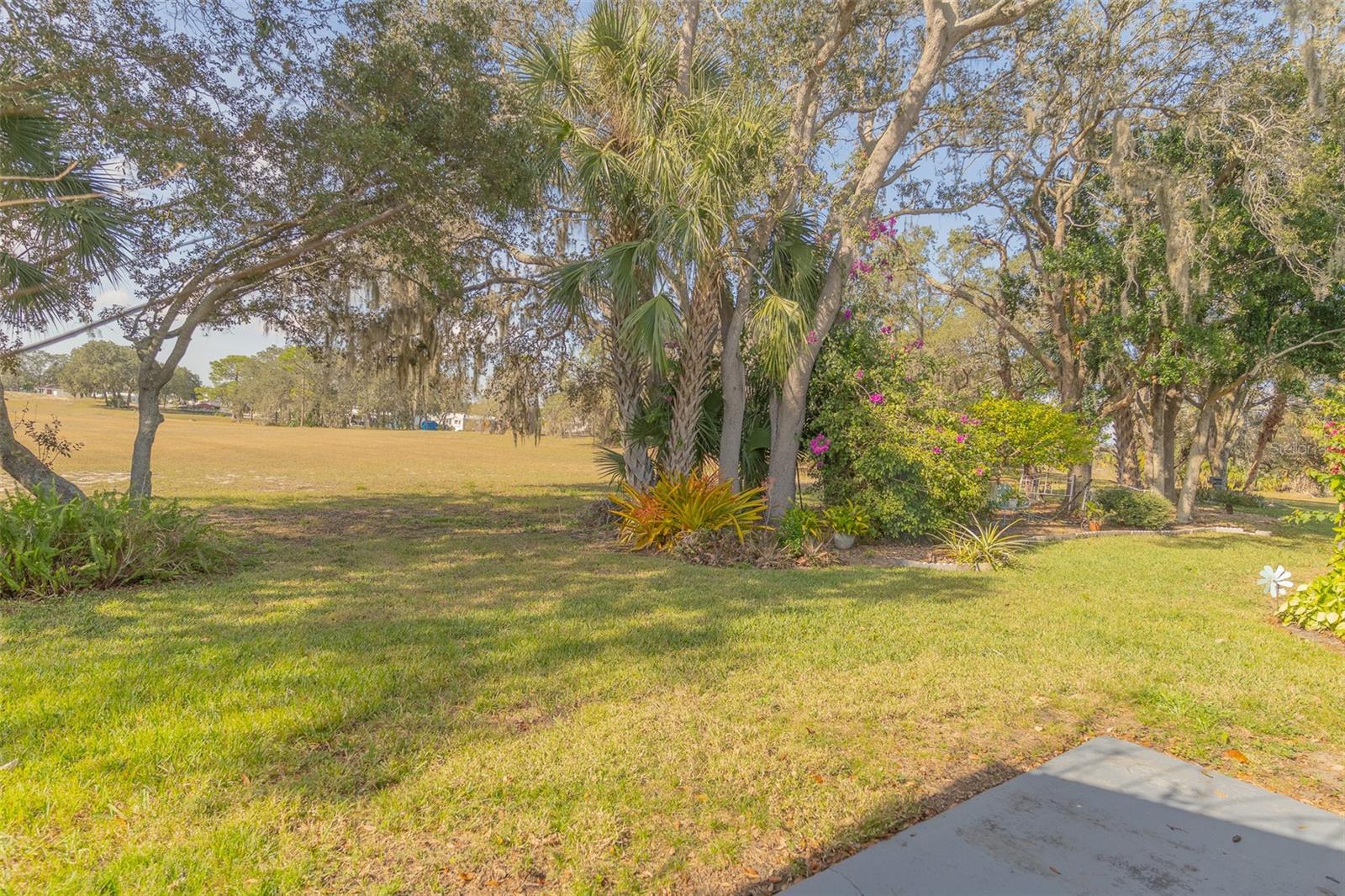 Image 14 of 19 For 24 Buck Circle