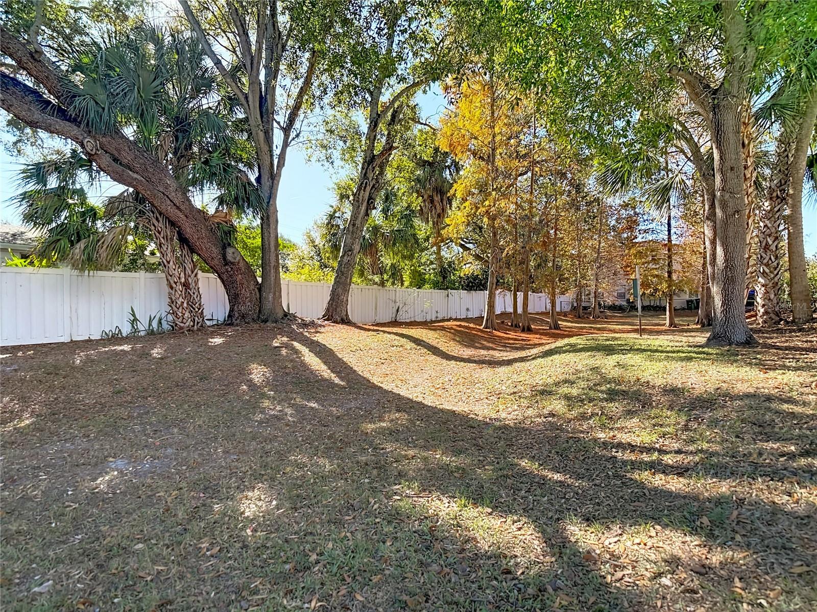 Image 54 of 55 For 3119 Santorini Court