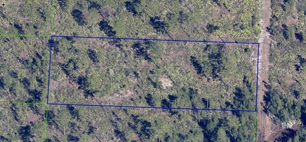 Image 2 of 8 For  Dill Road 