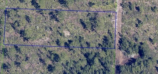 Image 5 of 8 For  Dill Road 