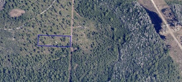 Image 7 of 8 For  Dill Road 