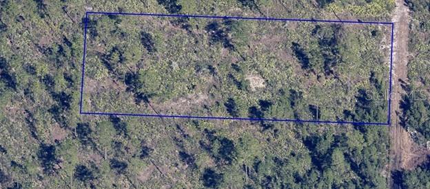 Image 8 of 8 For  Dill Road 