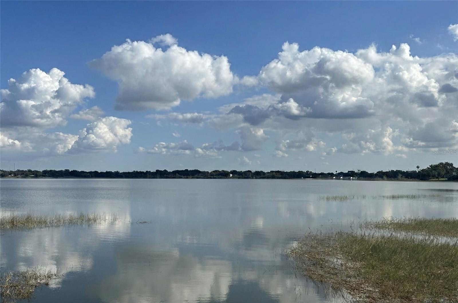 Image 45 of 58 For 236 Caladium Avenue