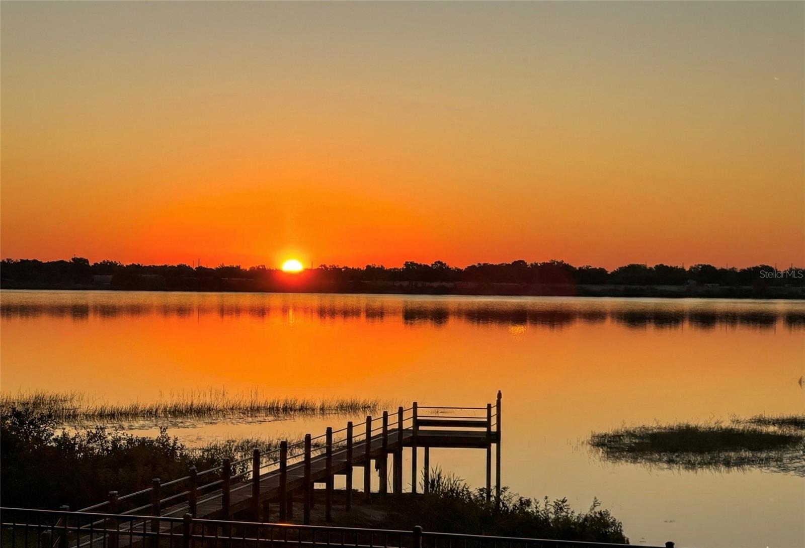 Image 49 of 58 For 236 Caladium Avenue