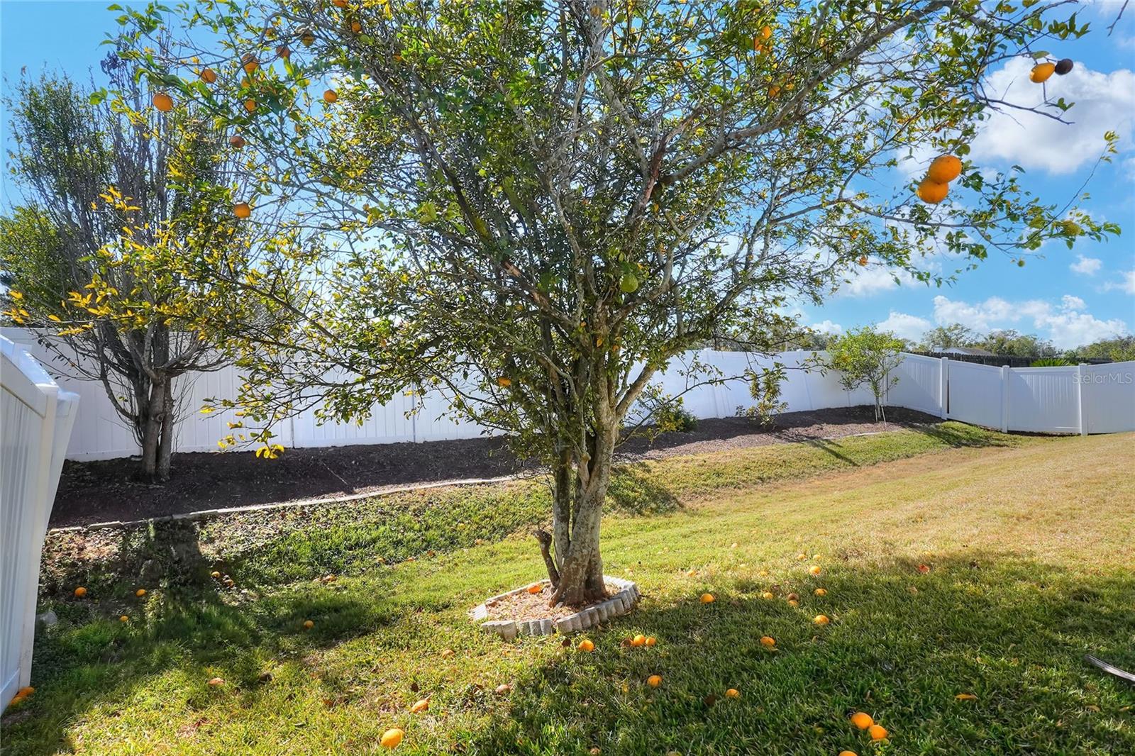 Image 40 of 48 For 412 Emerald Cove Loop