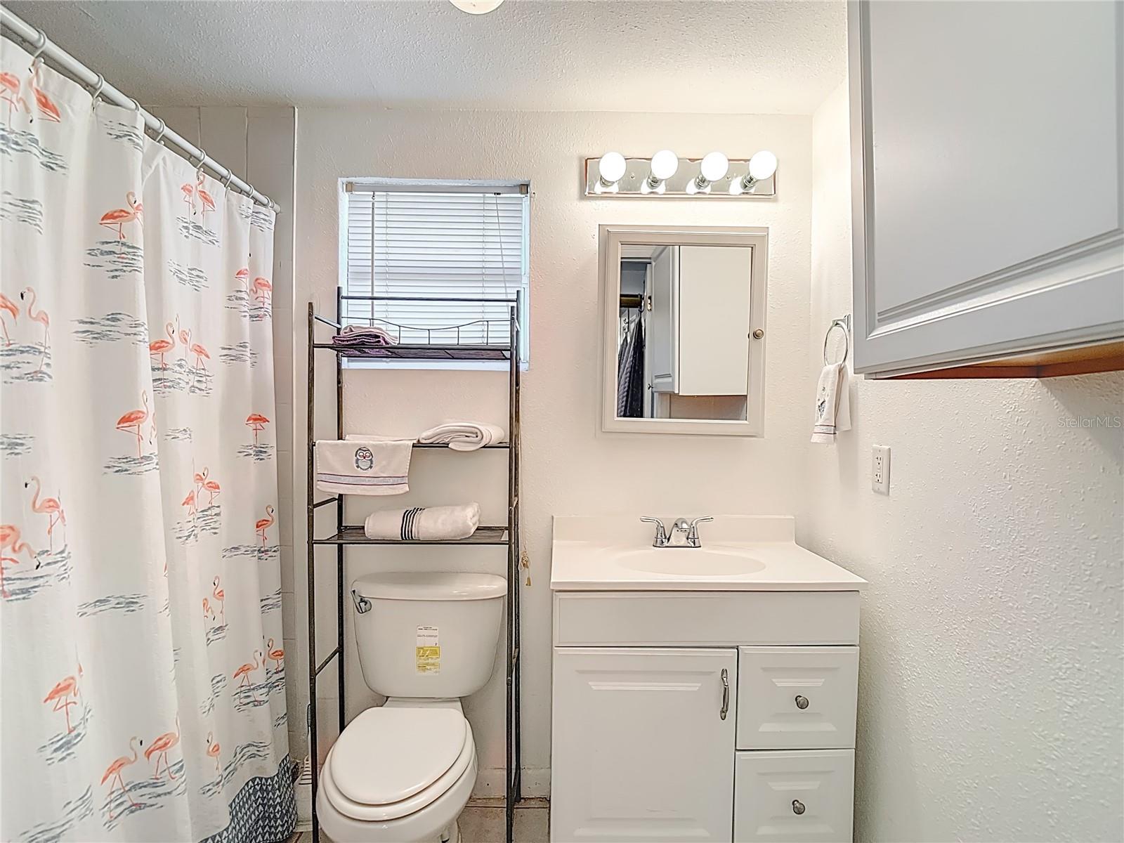 Image 45 of 61 For 19014 Sunlake Boulevard