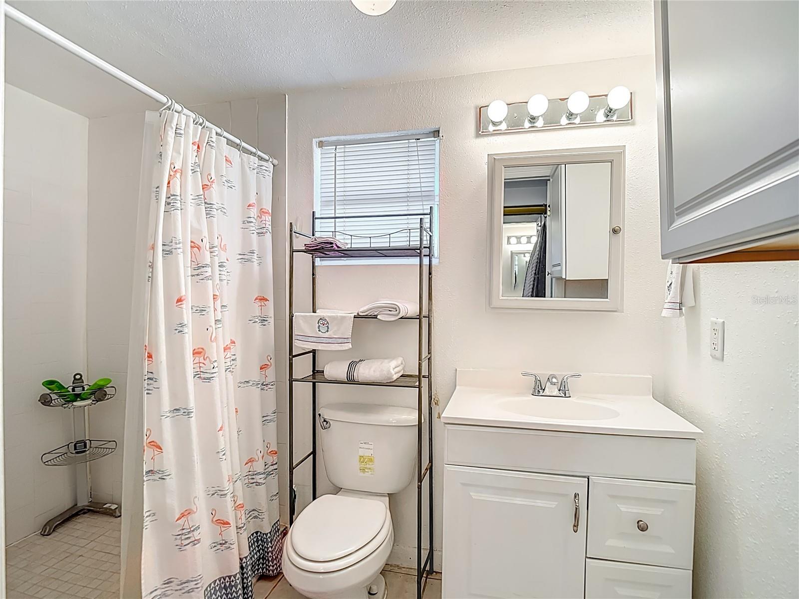 Image 46 of 61 For 19014 Sunlake Boulevard