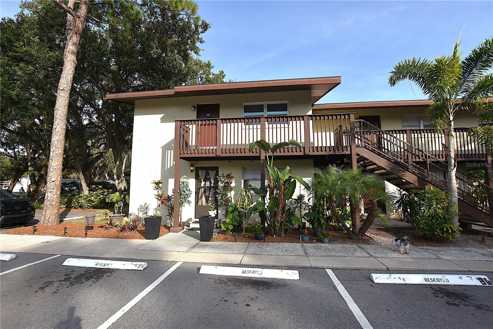 Image 28 of 29 For 141 Fernery Road B5