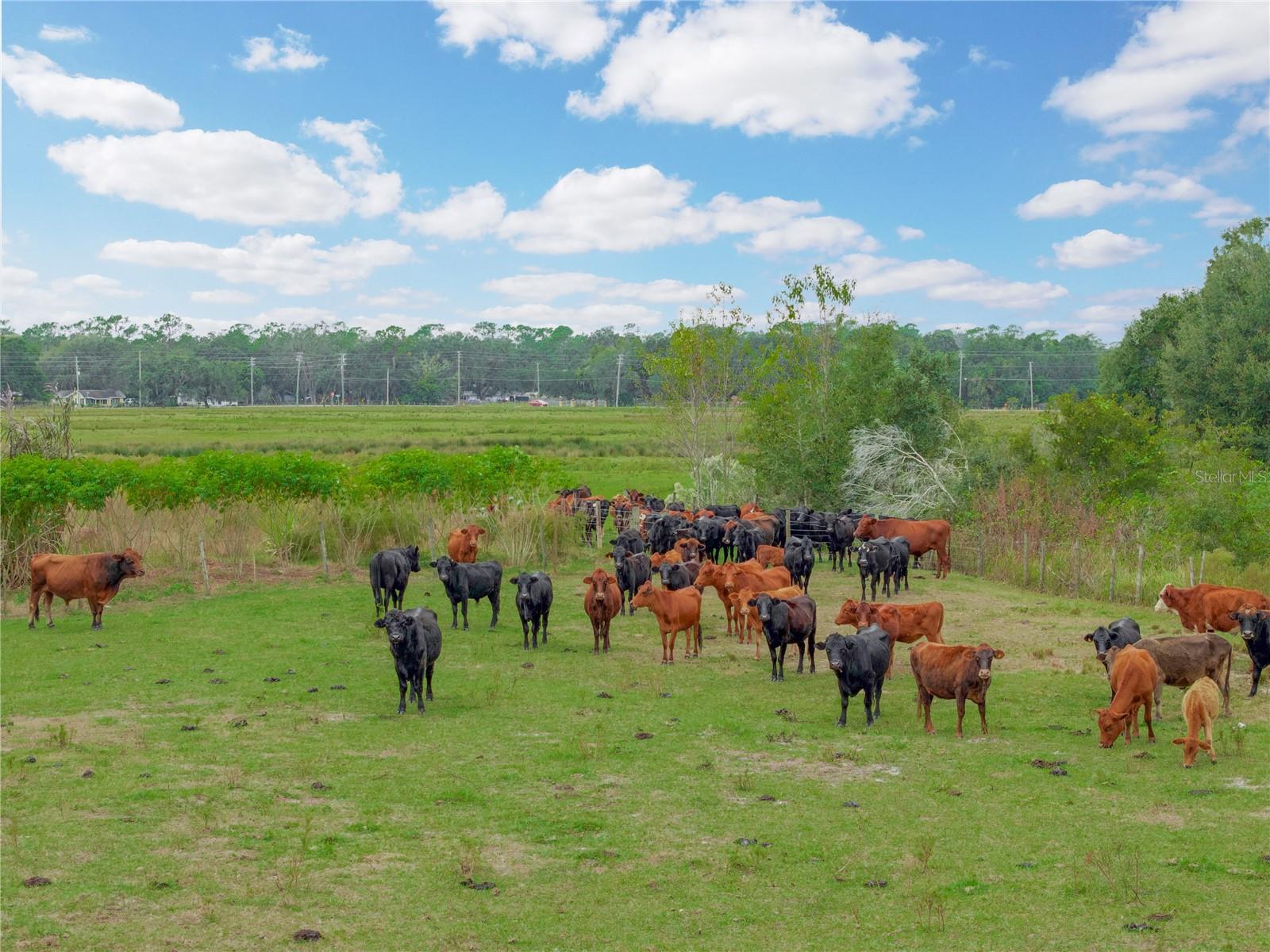 Image 16 of 39 For 4025 Bella Vista Street