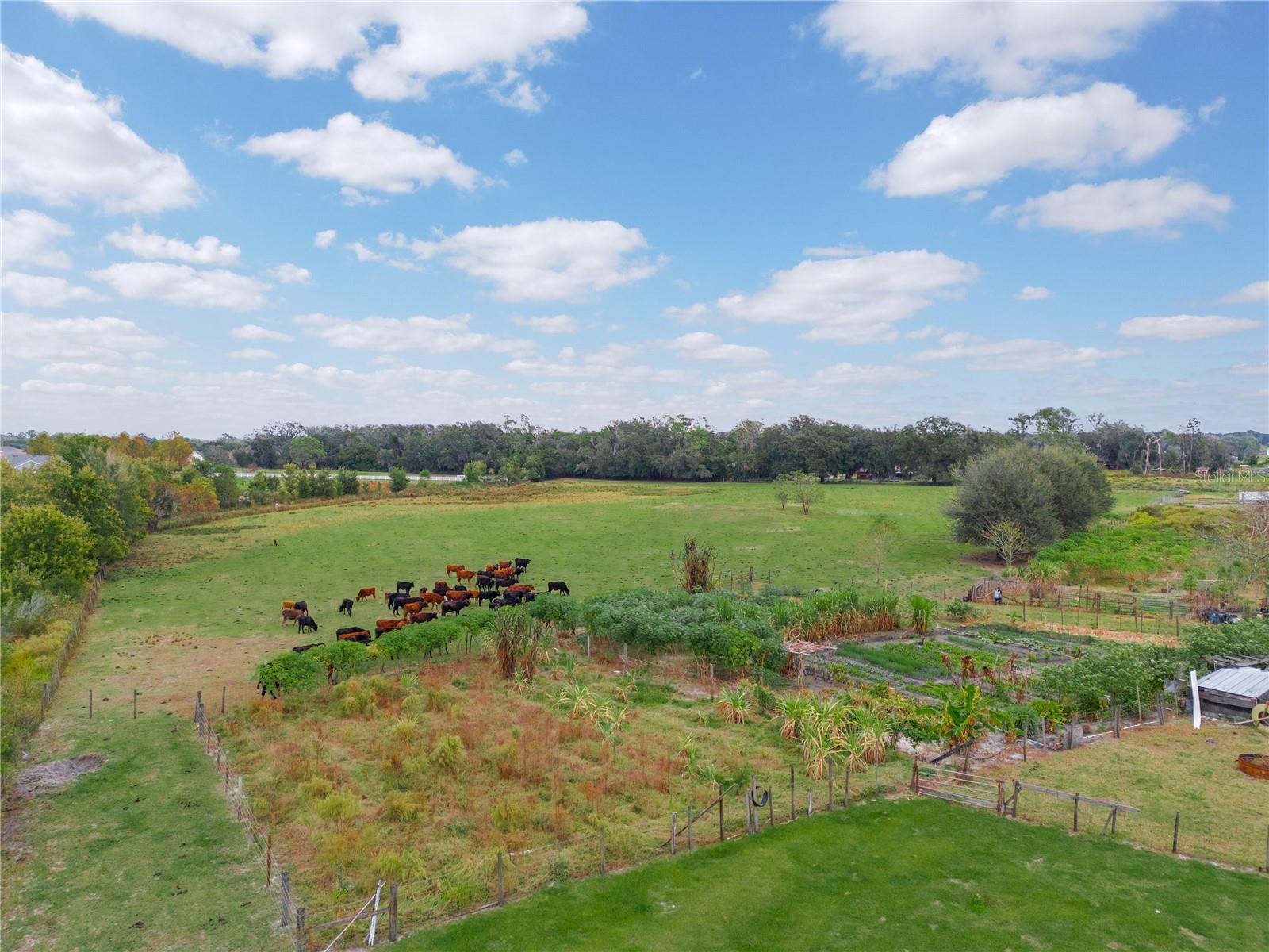 Image 20 of 39 For 4025 Bella Vista Street