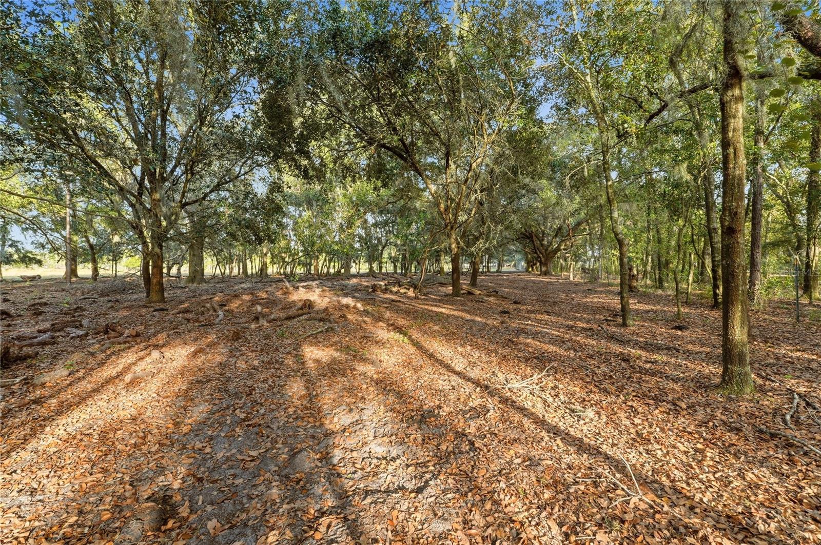 Image 94 of 100 For 3800 Gerber Dairy Road