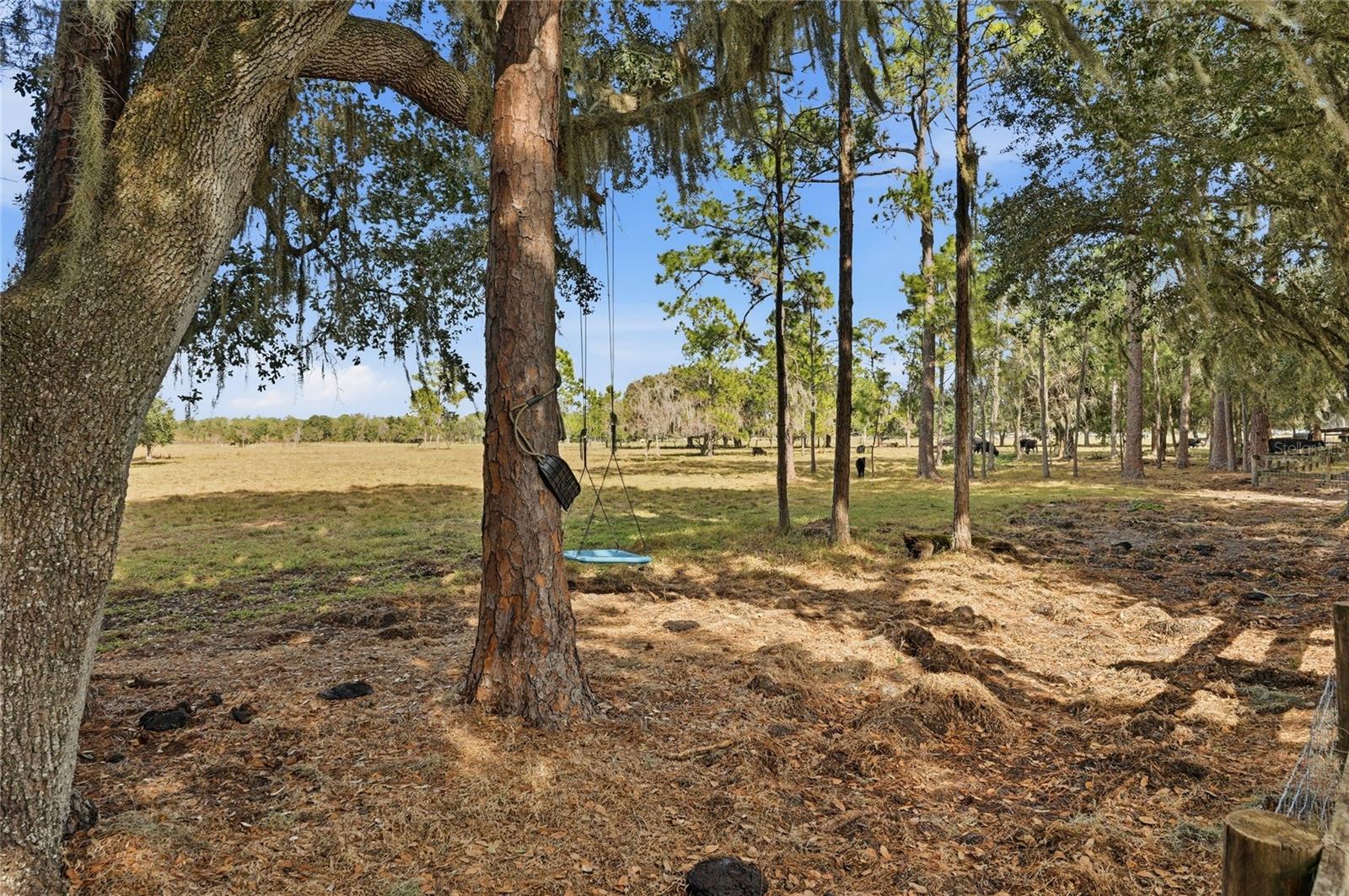 Image 95 of 100 For 3800 Gerber Dairy Road