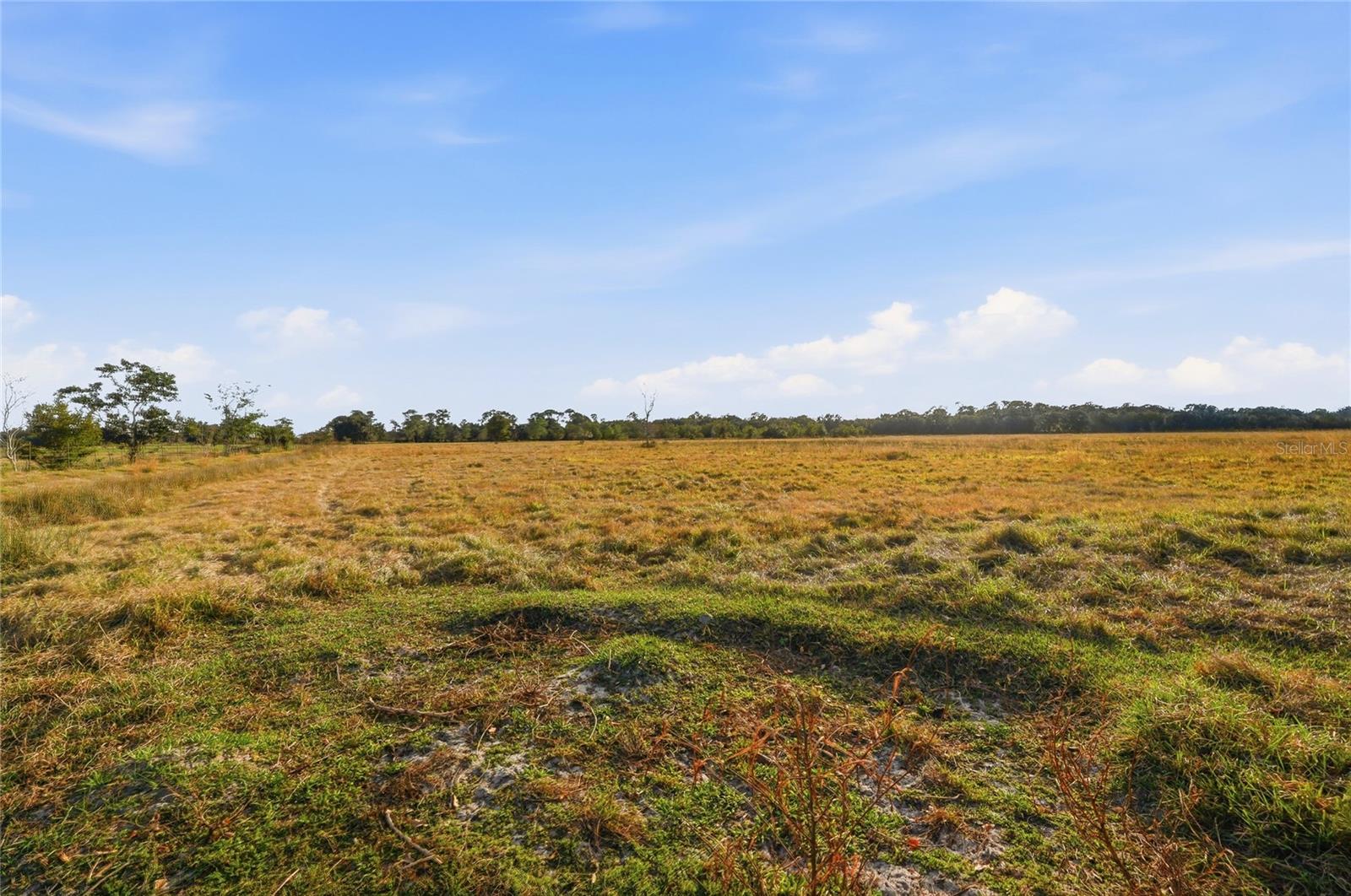 Image 96 of 100 For 3800 Gerber Dairy Road