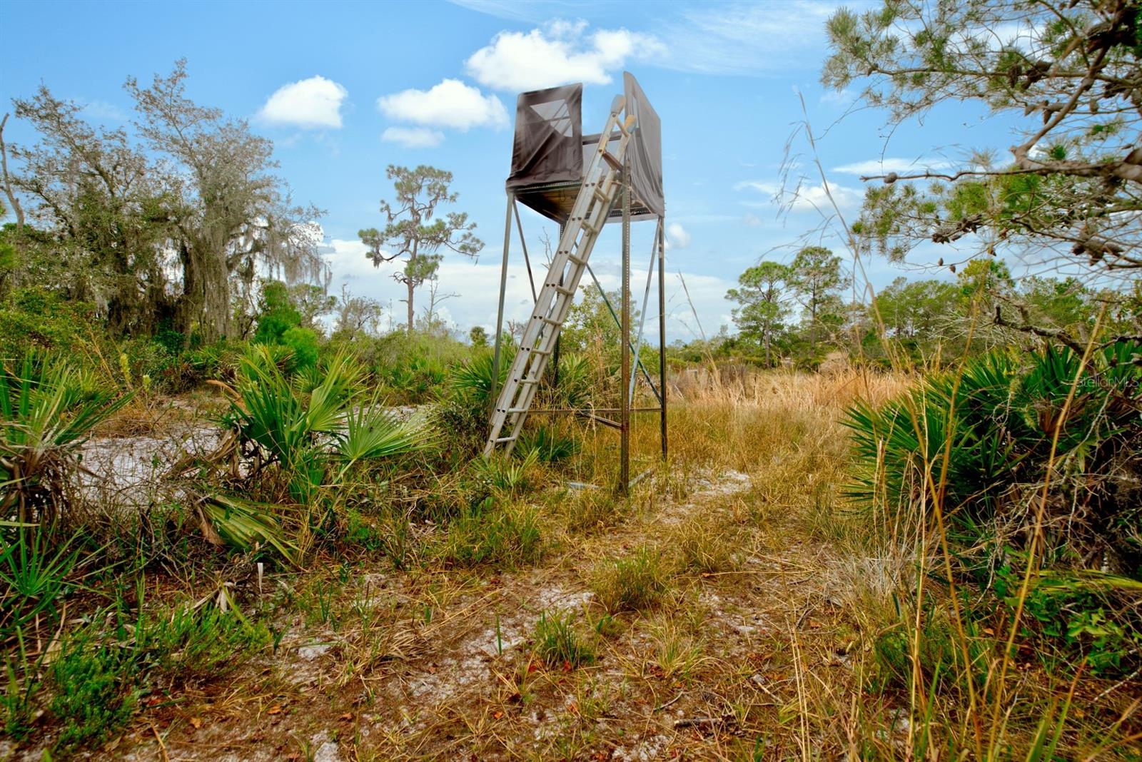 Image 35 of 42 For 194 Leisure Lane