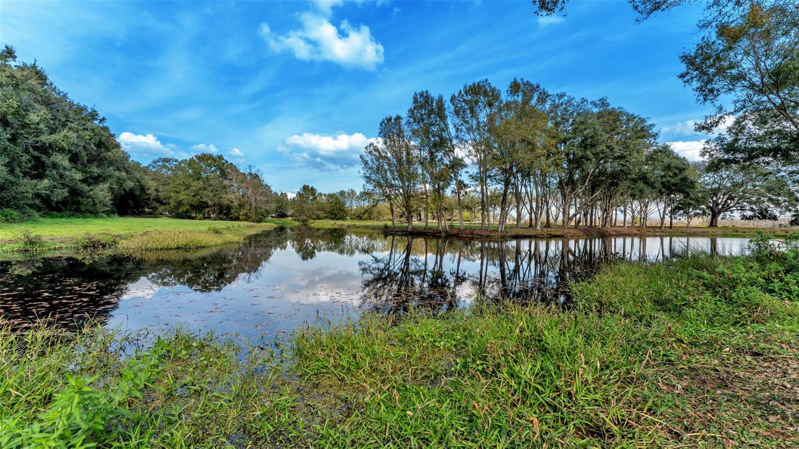 Image 99 of 100 For 13 Bogey Drive
