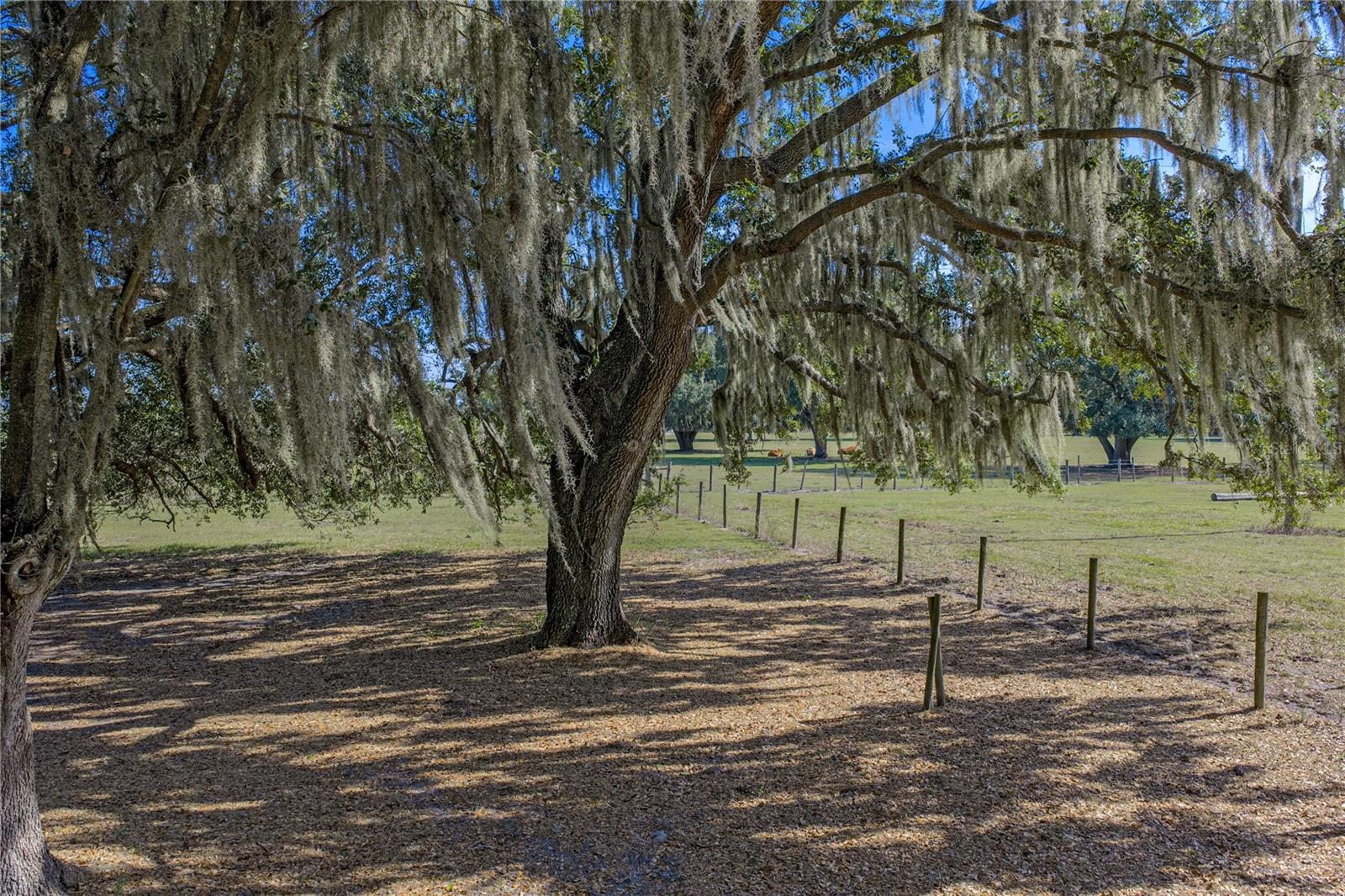 Image 58 of 91 For 660 Old Bartow Lake Wales Road