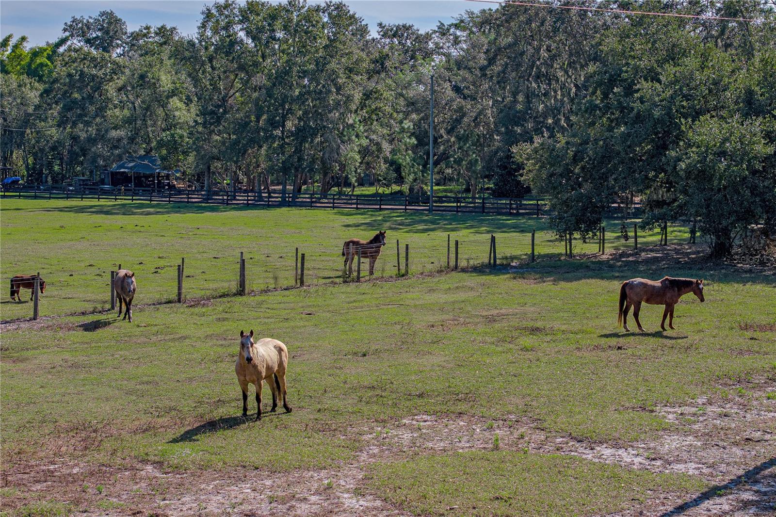 Image 6 of 91 For 660 Old Bartow Lake Wales Road