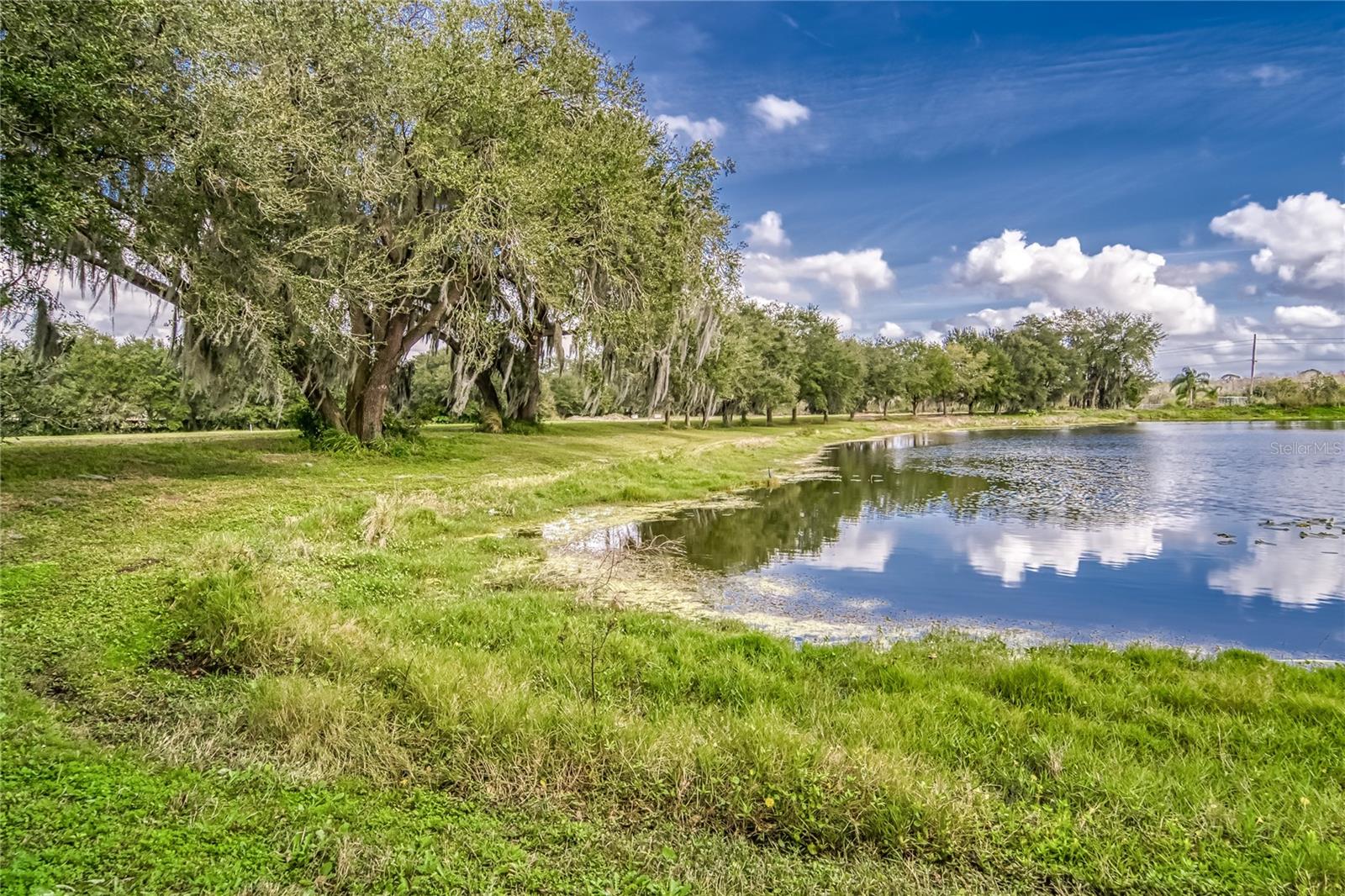 Image 11 of 24 For 2105 Bruce Street