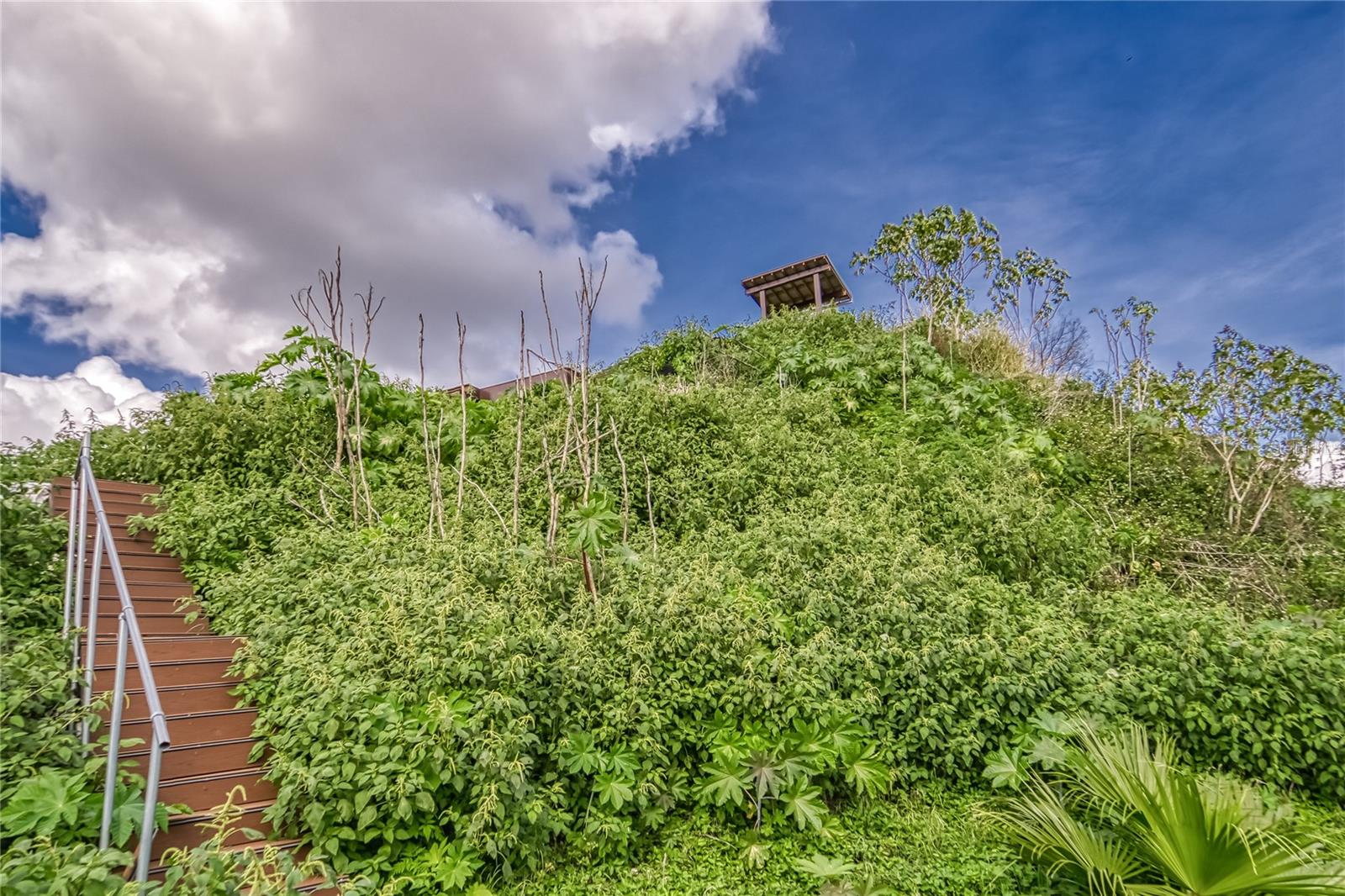 Image 22 of 24 For 2105 Bruce Street