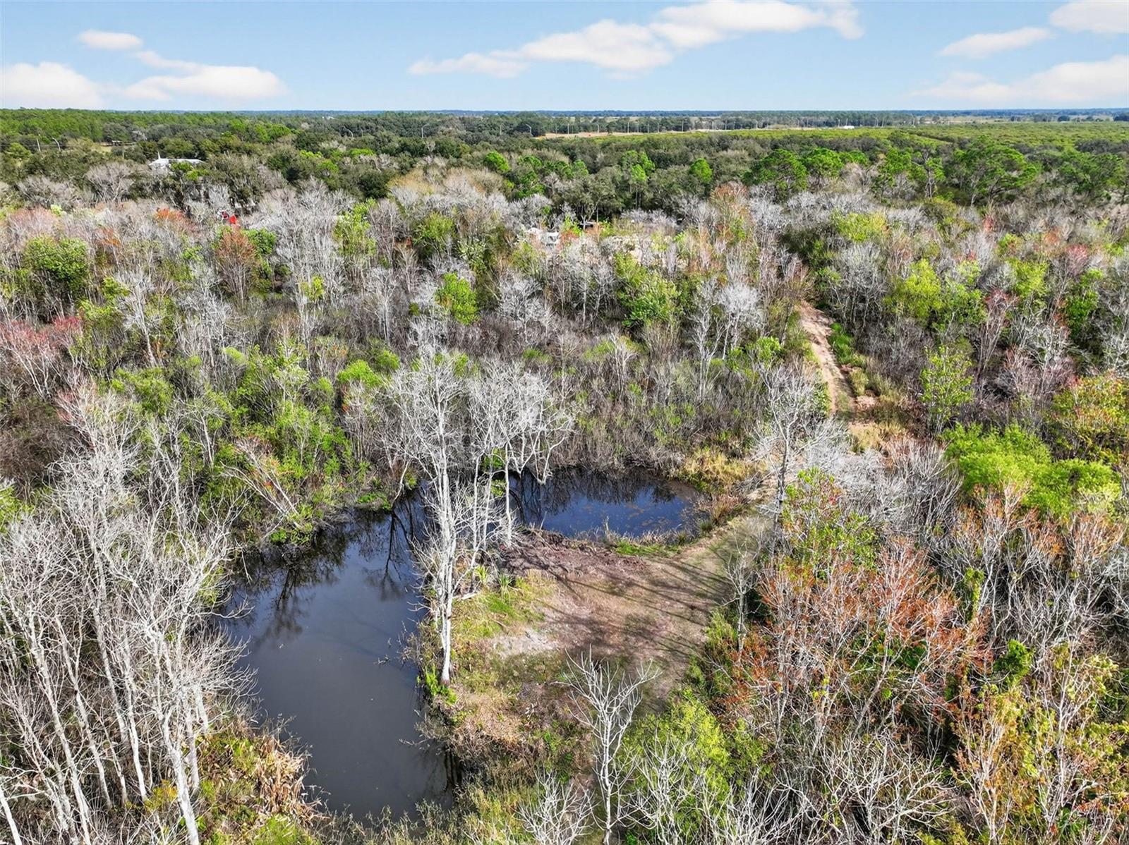 Image 9 of 15 For 168 Walk In Water Creek Road