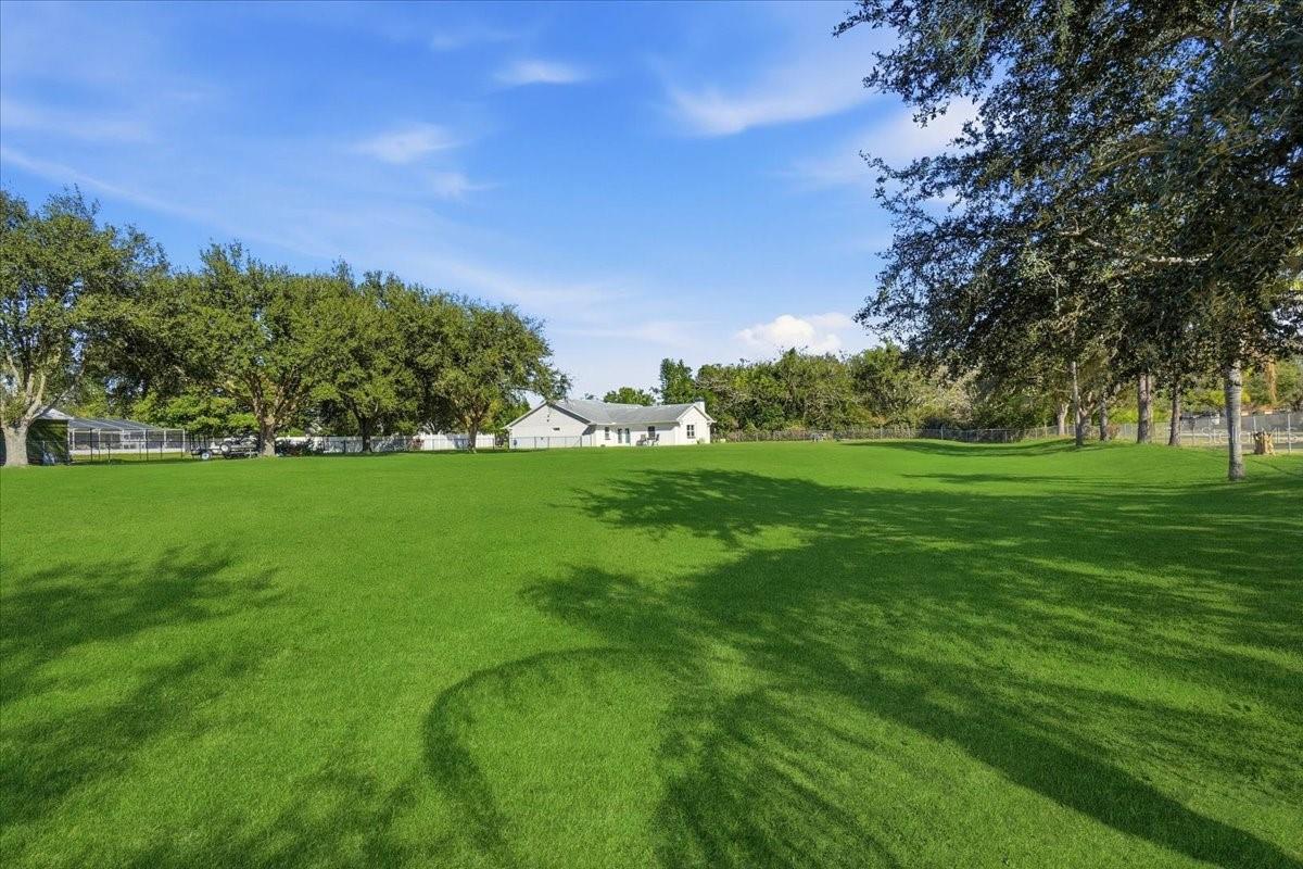 Image 5 of 58 For 173 White Cliff Boulevard