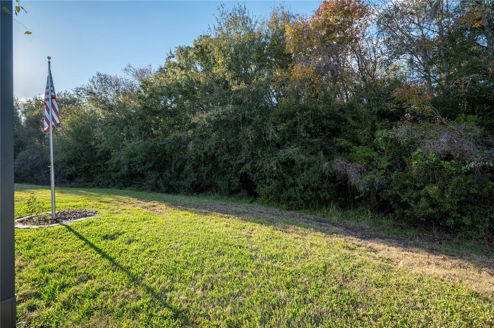 Image 40 of 73 For 3387 Fiddle Leaf Way