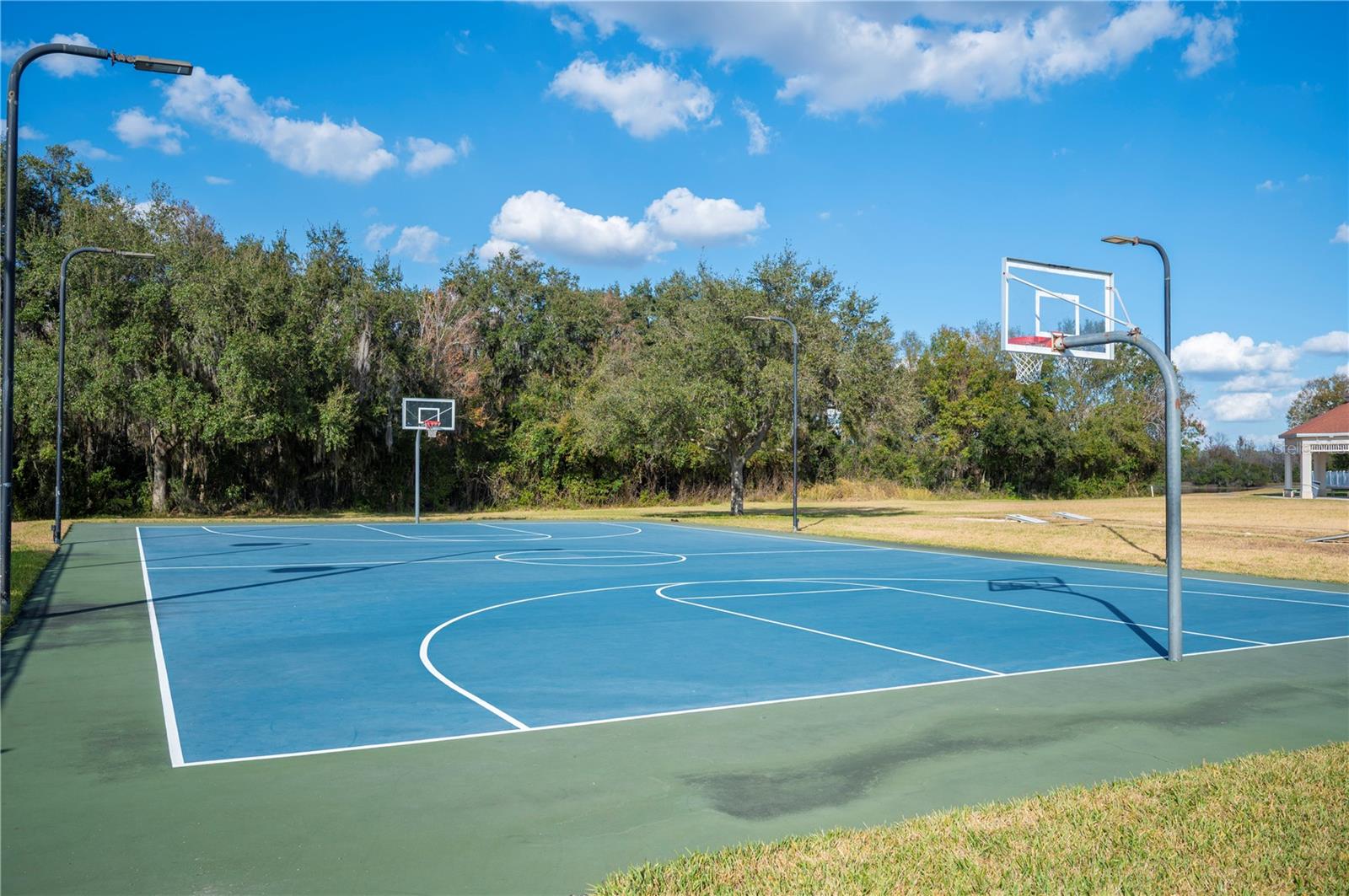 Image 63 of 73 For 3387 Fiddle Leaf Way