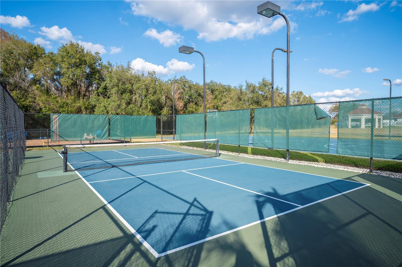 Image 65 of 73 For 3387 Fiddle Leaf Way
