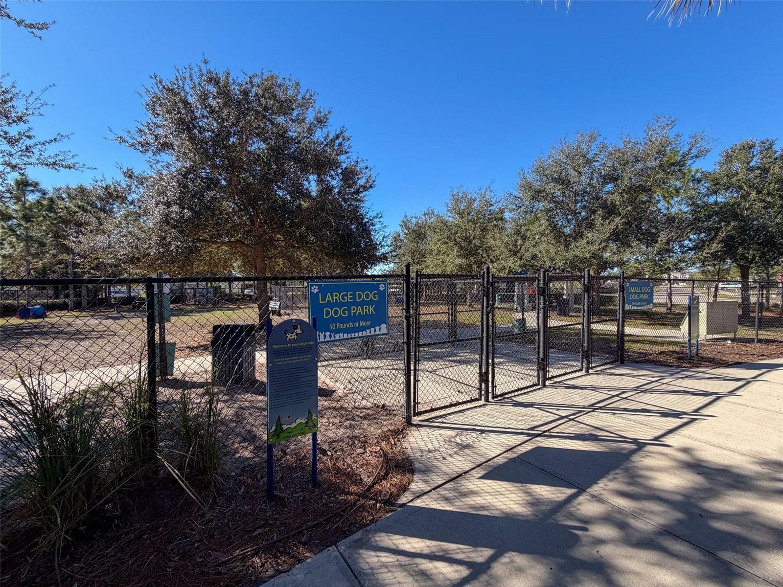 Image 26 of 36 For 15414 Wicked Strong Street